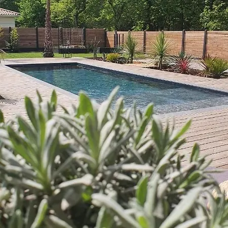 Holiday home Aux Palmiers,piscine 28°,petanque,coeur Bassin *